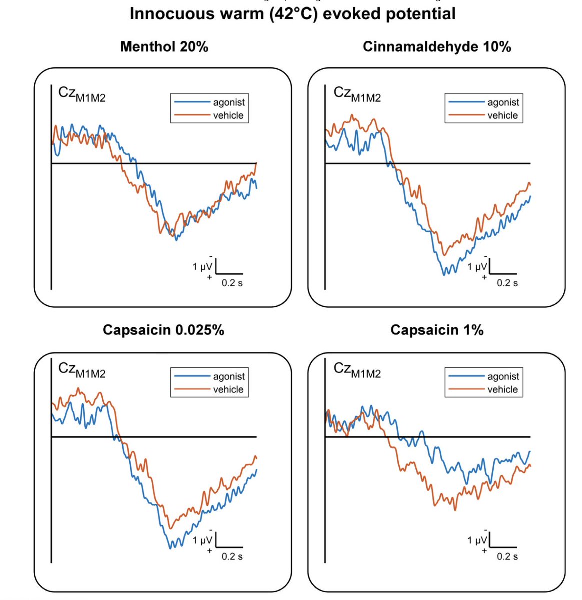 "Combining Topical Agonists With the Recording of Event-Related Brain Potentials to Probe the Functional Involvement of TRPM8, TRPA1 and TRPV1 in Heat and Cold Transduction in the Human Skin", by @arthur_courtin and <a href="/spigoo/">André Mouraux</a> is now out!

sciencedirect.com/science/articl…