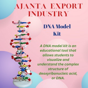 Manufacturer of DNA model kit in Ambala Cantt #DNAmodelkit #sciencetoys #stemtoys #educationaltoys #biologytoys