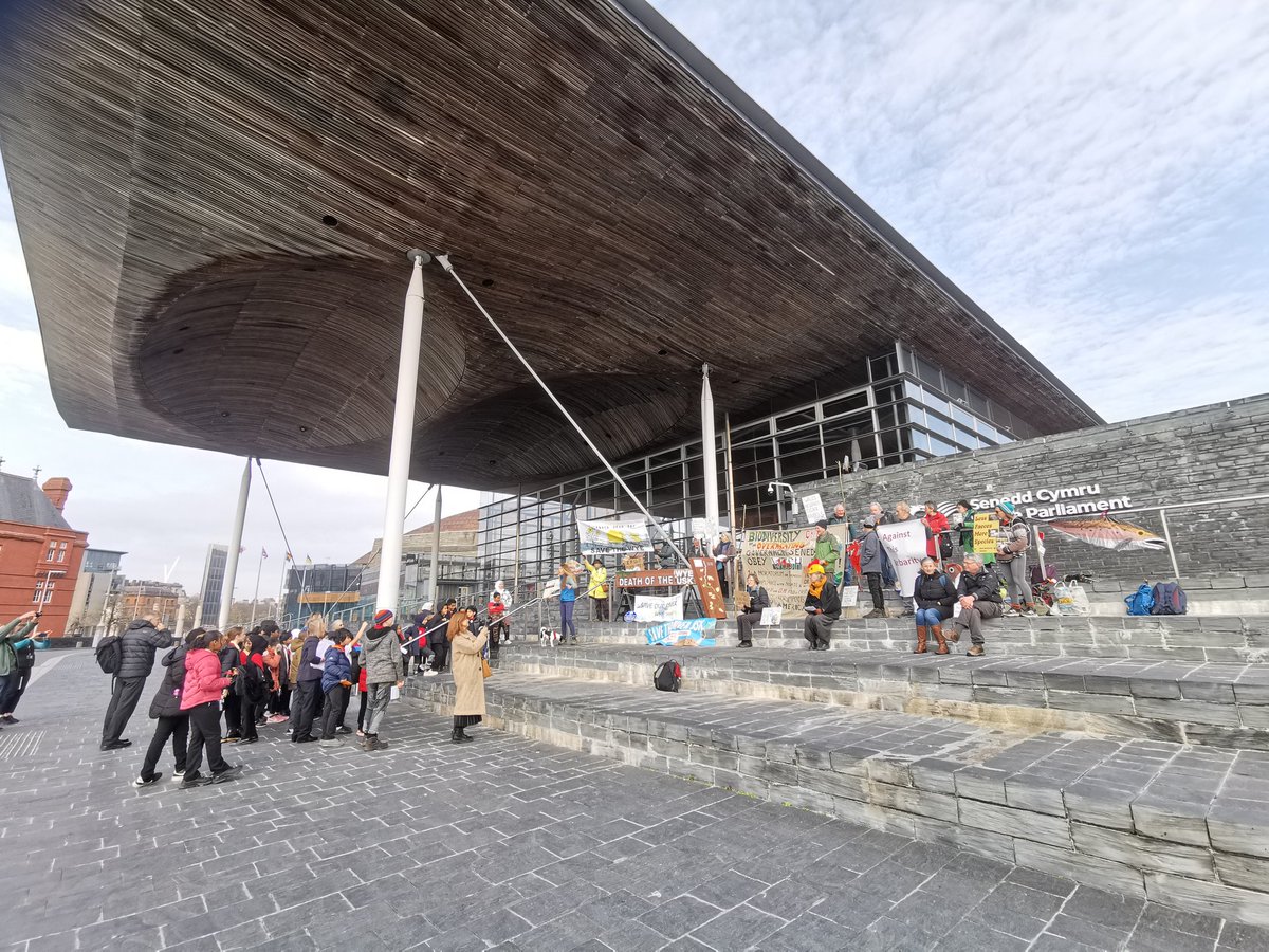 janebrynonnen's tweet image. Protest for fairer, greener farming in Wales, and a voice for everyone.

Make #futuregen work! 

With @LandworkersUK and lots of people from #aberystwyth

@ElinCeredigion