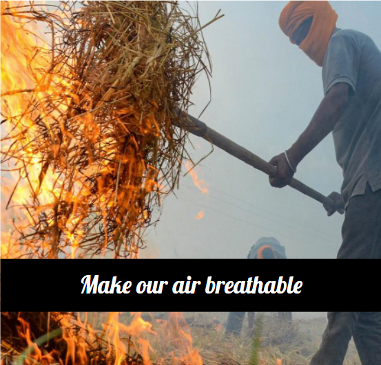 Crop burning results in one of the deadliest forms of air pollution that is still widely practiced. We see 2023 as a year of change, providing farmers with a sustainable and profitable alternative to crop burning.

Join our efforts by dropping an email to info@takachar.com