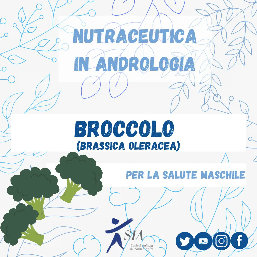 AndrologiaSia's tweet photo. Sapevi che il #broccolo ha molte proprietà vantaggiose per la #salutemaschile?
#nutraceutica #nutraceutical #nutraceuticals #nutraceuticos #naturaltherapy #naturaltherapies #fitoterapia #nutraceutici #andrologia #andrology #siaandrologiaitaliana
#antioxidant #brassica https://t.co/Mp7vxK14Uv