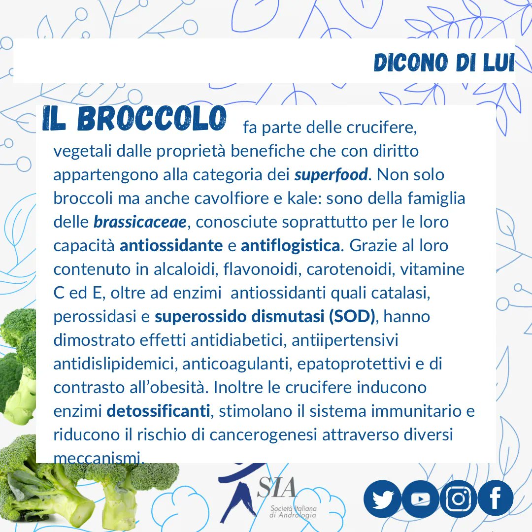 AndrologiaSia's tweet photo. Sapevi che il #broccolo ha molte proprietà vantaggiose per la #salutemaschile?
#nutraceutica #nutraceutical #nutraceuticals #nutraceuticos #naturaltherapy #naturaltherapies #fitoterapia #nutraceutici #andrologia #andrology #siaandrologiaitaliana
#antioxidant #brassica https://t.co/Mp7vxK14Uv