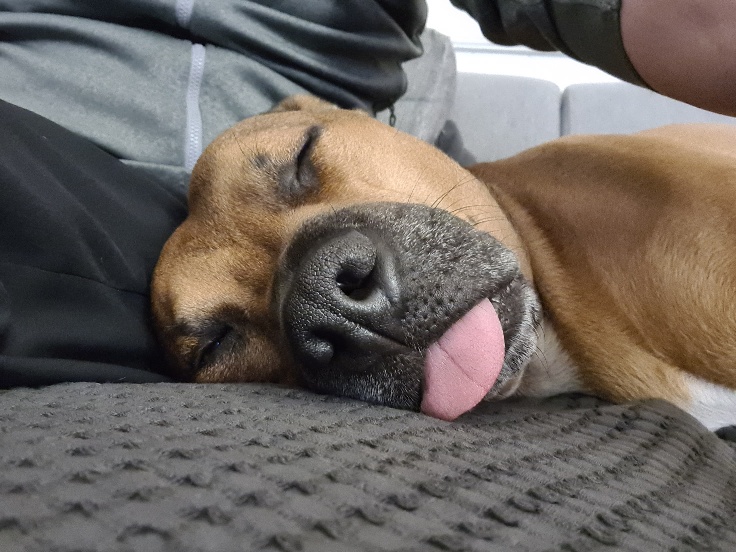 Claudia eRecords tweet media