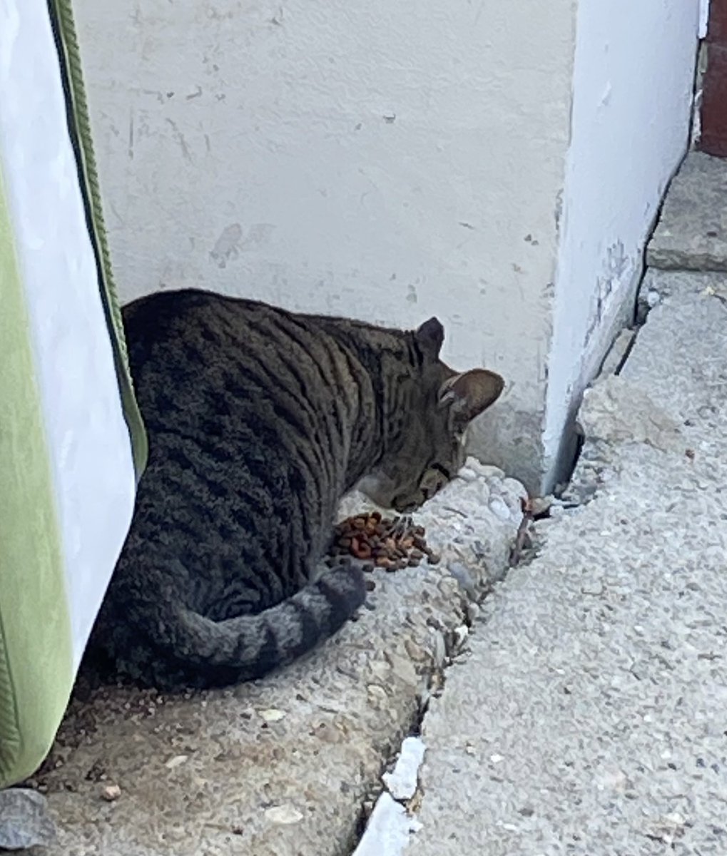 hsmw6 (@hsmw66) on Twitter photo 