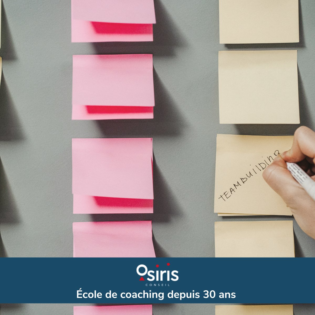 Vous vous demandez comment déceler les forces et les points de vigilance de votre équipe pour une meilleure performance collective ? 
Notre formation « Typologie et Coaching d'équipe » ouvrira ses portes du 5 au 7 avril prochain ! 
📆Pour vous inscrire👉 lnkd.in/gsPfed5