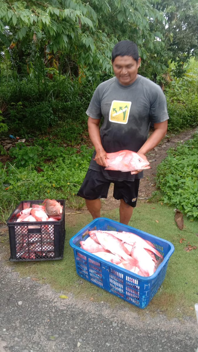 bach_tear77's tweet photo. Rabu (15/02), Bachtiar, #luhkanppu, #Luhlapor,
di KUB Bintang Laut Kel. Pejala PPU Kaltim, tngkpn ikan Kakap mrh 76.5 kg hrg Rp. 63.000/kg, krapu kcl 8.5 kg hrg Rp. 27.000/kg, jns alat tgkp pancing
@djpt_kkp @kkpgoid
#GiatLuhkanSatmingkalTegal
#produksi
#ppu https://t.co/kd8qphqofk