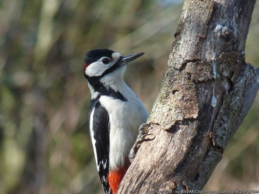 Little Green Space 🦋 tweet media
