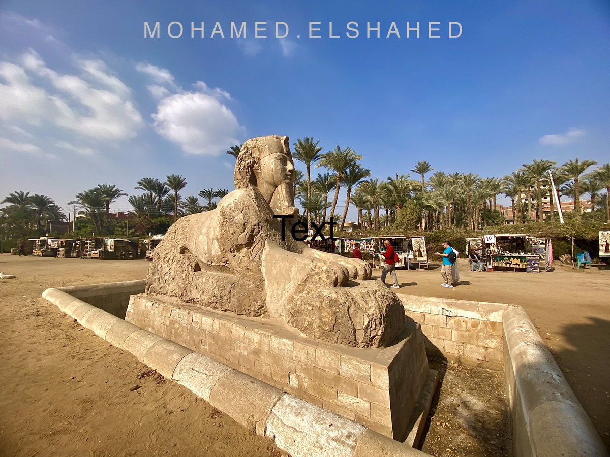 Mohamed El-Shahed tweet media