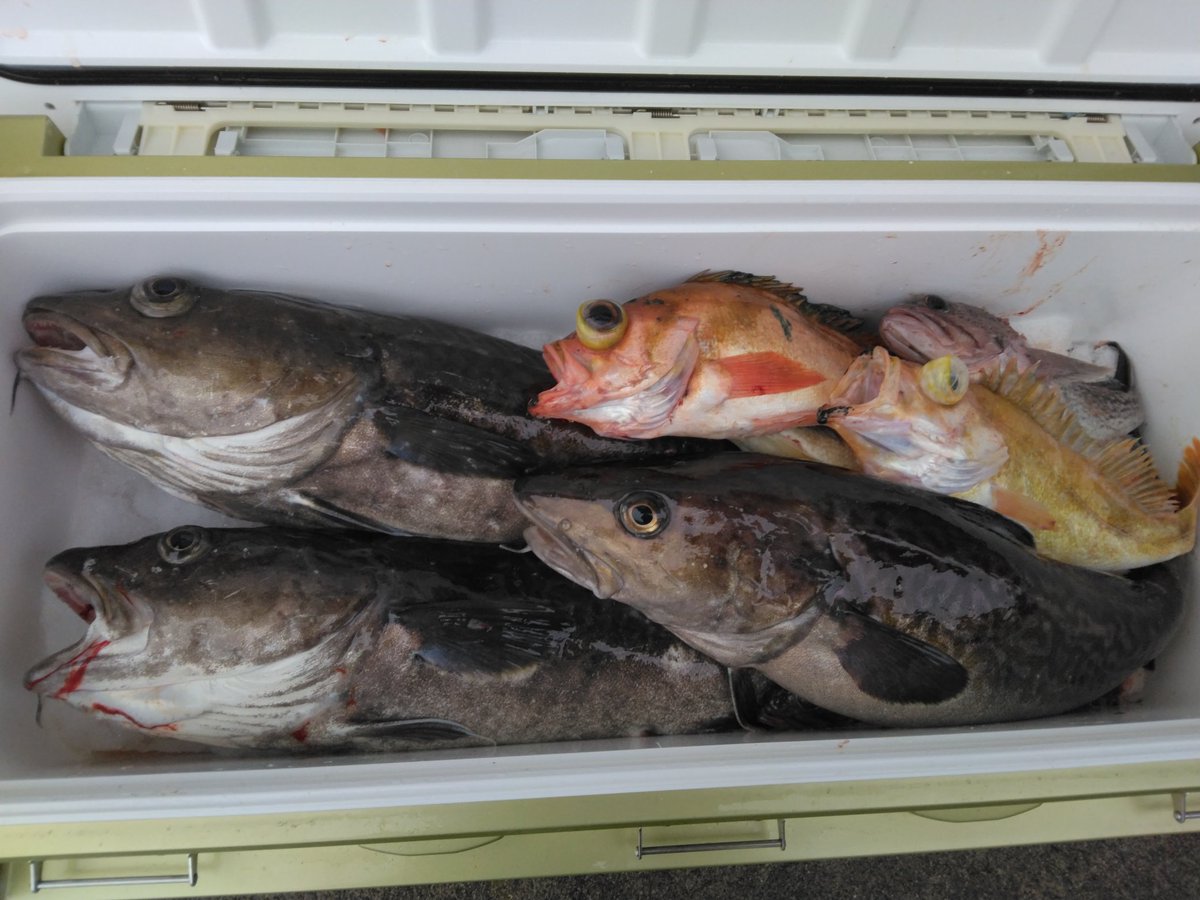 BDopeness's tweet photo. Peace!!!!!

Feb 13th,2023
SANPEIMARU JIGGING!!!!!

【jig】TETSU JIG Spin Rider Deep 220g

【hook】JAM HOOK 4/0

I want to get together with everyone again!!!!!

Peace!!!!!!!

＃八戸港
＃三平丸
＃イワキ釣具店
＃鉄ジグ
＃SpinRiderDeep
＃SlowJigging https://t.co/U40AFvQFbG