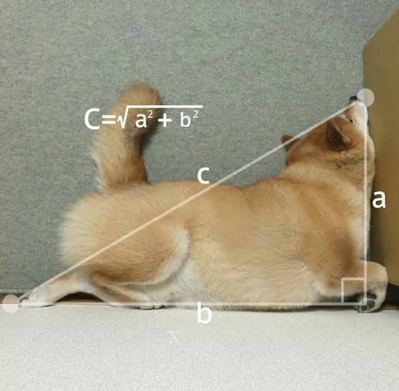 <a href="/elonmusk/">Elon Musk</a> So much maths 🐶
