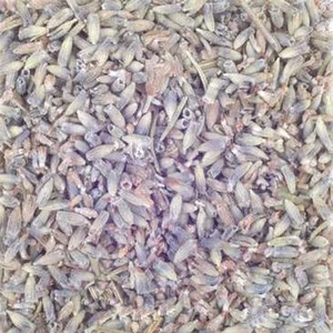 thecraftersshop's tweet image. We stock Botanicals, clays and herbs such as Calendula, French Clay, Blue Mallow, Dried Lavender petals and many many more.

#FrenchClay #Lavender #KaolinClay #DriedOrangeSlices #Clay #Botanicals #Crafts #CraftSupplies #FaceMasks 

thecraftersshop.co.uk/colours-and-fr…