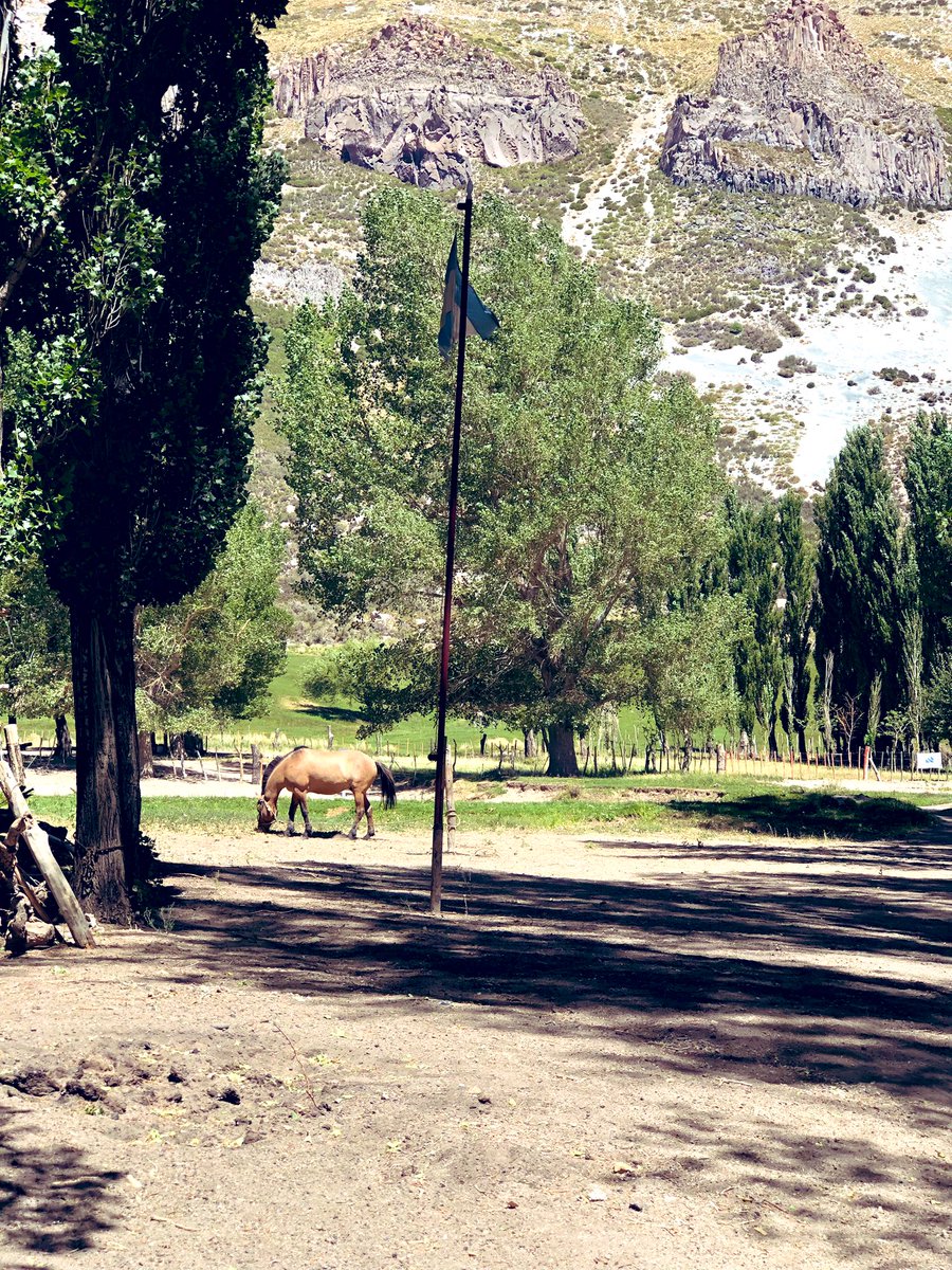 silvanaagz's tweet photo. Llegar a lugares
inhóspitos
Sentir que
no te alcanza
el pecho
para recibir
tanta hospitalidad
Y aire puro
Gente
en extinción
que abraza fuerte
después de viajar horas
cruzando los límites
del cielo
Y de la urbanidad
#NuestroPais🇦🇷❤️ #Viajantes https://t.co/n6NlmALavn