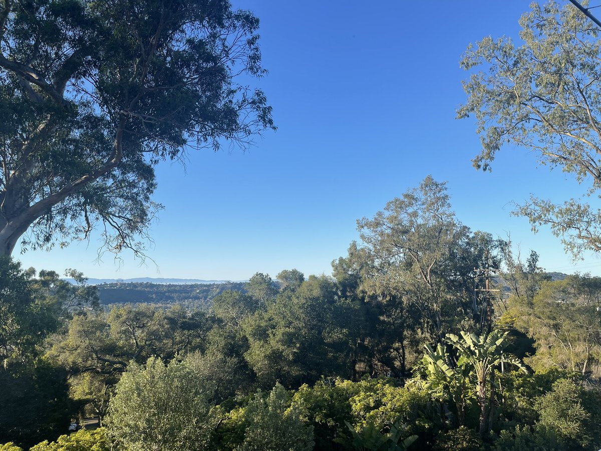 Terrace Martin tweet media