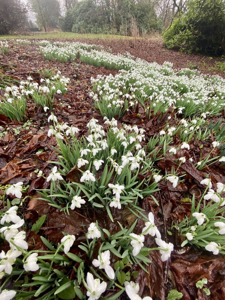 GartmoreHouse's tweet photo. Spring is coming! 😀 https://t.co/8oGckBOcvX