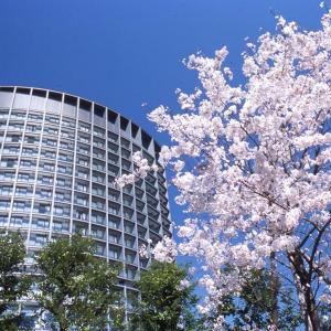 BitbookT's tweet photo. GM ☕🌞🔅✈️ 🧳 🗺️ 🌎
What's on your #Travel #BUCKETLIST ?
I want to see the Cherry Blossoms in #Japan during Springtime.
Earn $BBT #Crypto everytime you book using #bitbook at over 500 #hotels in #tokyo https://t.co/i86QWbFjKG