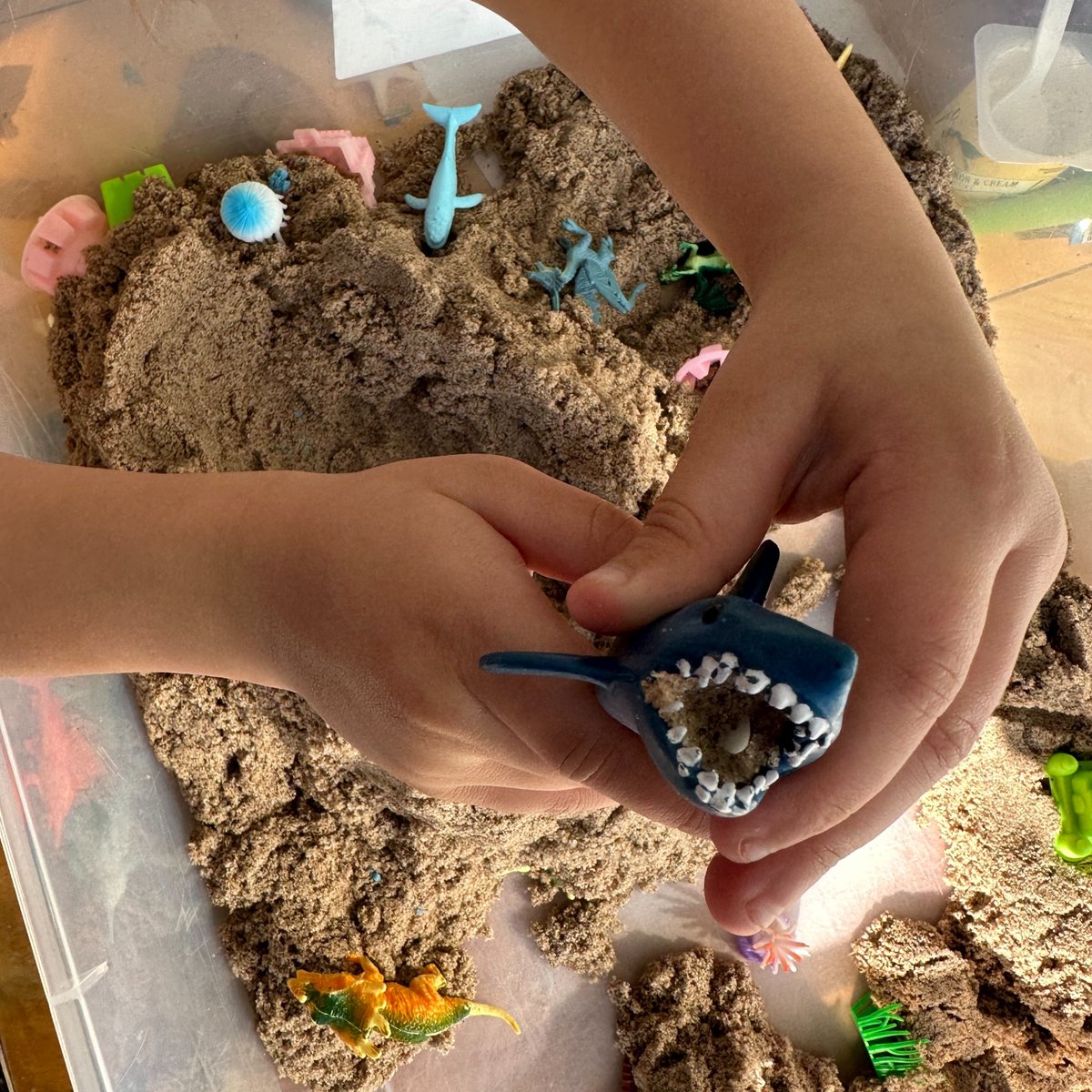 BigMinds2e's tweet photo. You can always find busy hands on our campuses! 
#Twiceexceptional #projectbasedlearning #actuallyautistic #disabilitypride #giftedkids #Bigminds #2e #autism #spd #adhdbrain  #rsd #brainbodyparenting #childmentalhealth #pda #pathologicaldemandavoidance #strengthsbasedlearning https://t.co/RhQHodEg18