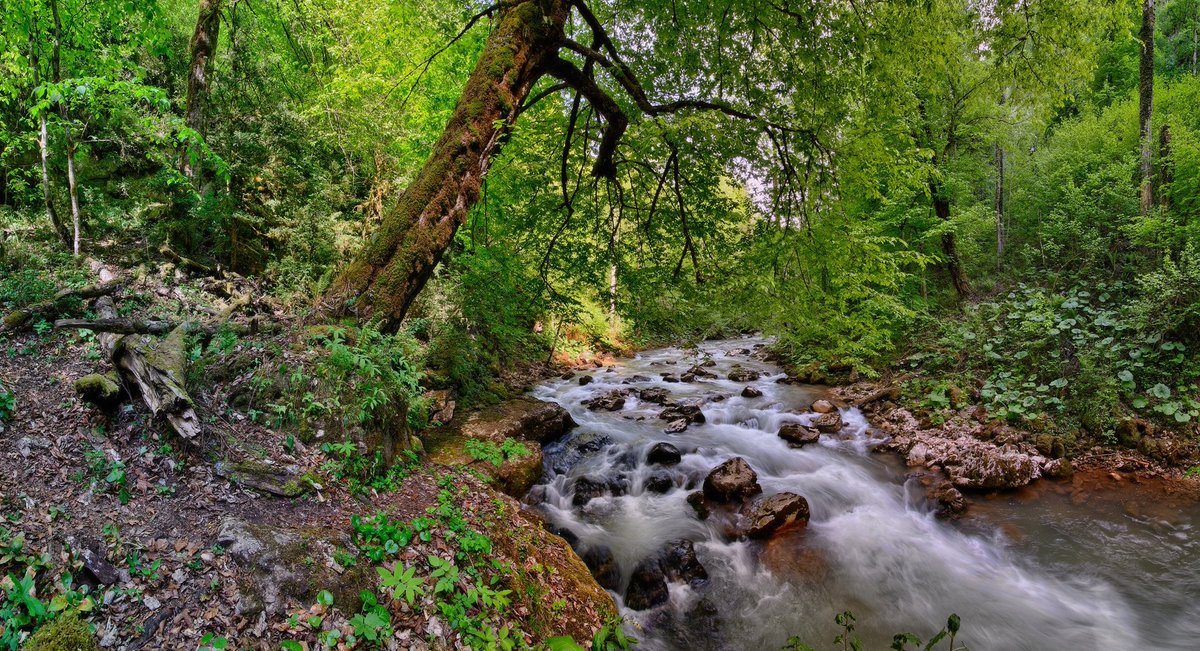 Река Курджипс, Адыгея, Краснодарский край