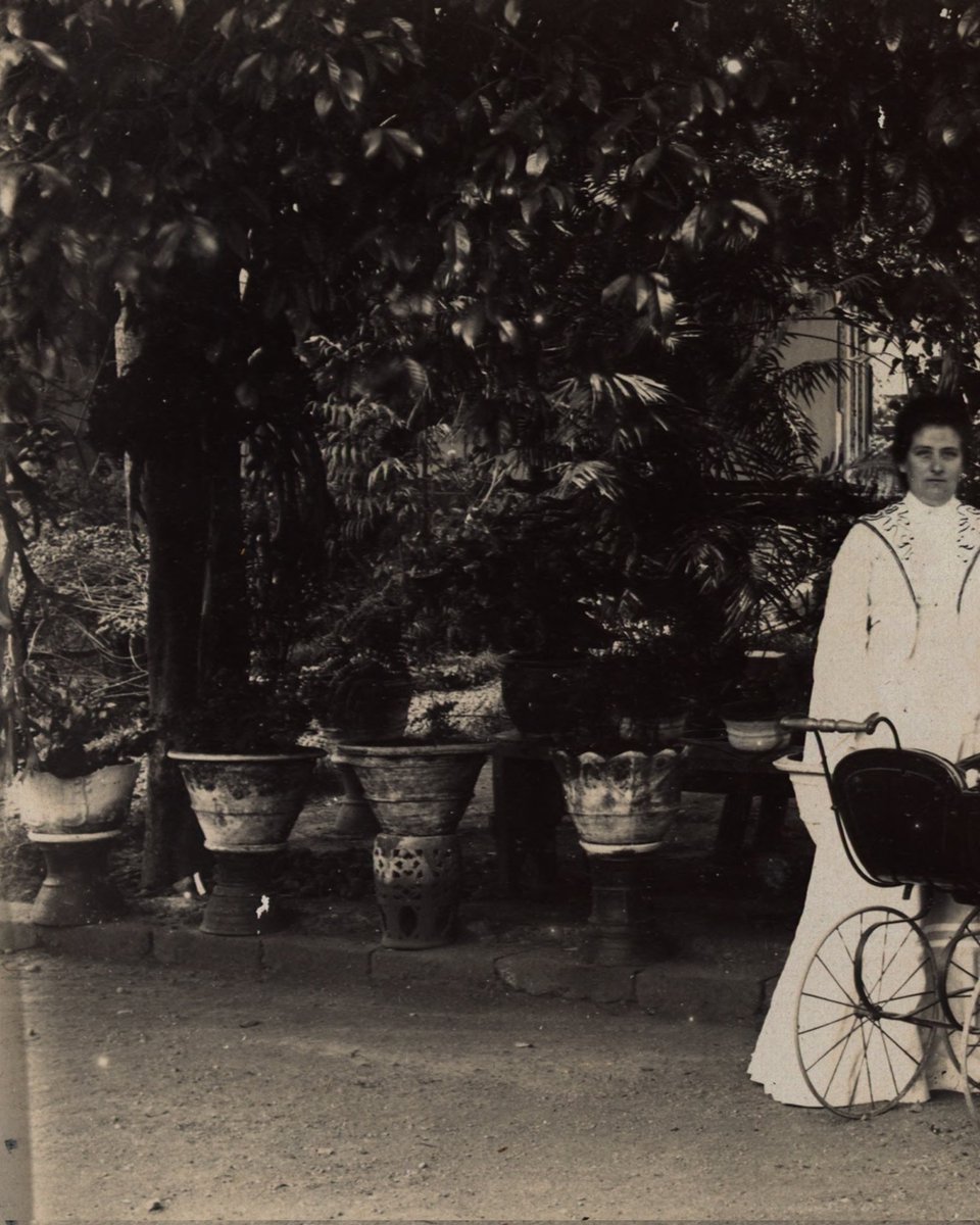 potolawas's tweet image. ⤵️
Europese familie op Java, circa 1903.
•
📸: Leiden University Libraries
•
#potolawas #potolawasjawa #javaisland #java #jawa