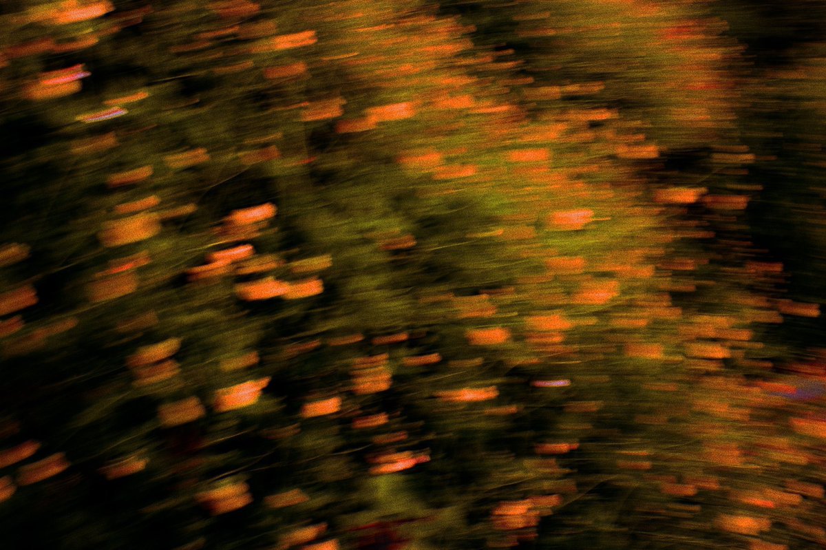 canvasoul_'s tweet photo. meditations in an emergency https://t.co/3YtlvLYLRE