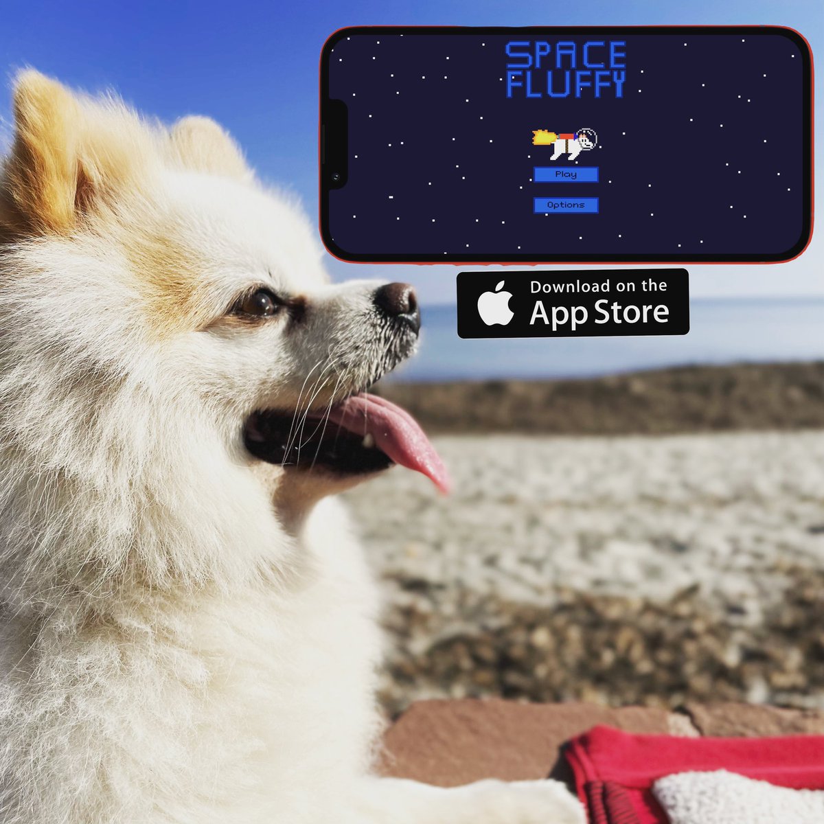 mbrambila's tweet photo. Space Fluffy! 

#Fluffy #pomeranian #spitz #ios #gaming #spacedog #instapom #instaspitz #ilovemydog #spacefluffy #fluffythedog #instapuppies #pomeranianspitz #happydog #dogsofinstagram #pomsofinstagram #spitzlover #iosgame #download #free #appstore #space #nasa #iss #twitterdogs https://t.co/rGF2K7NGNH