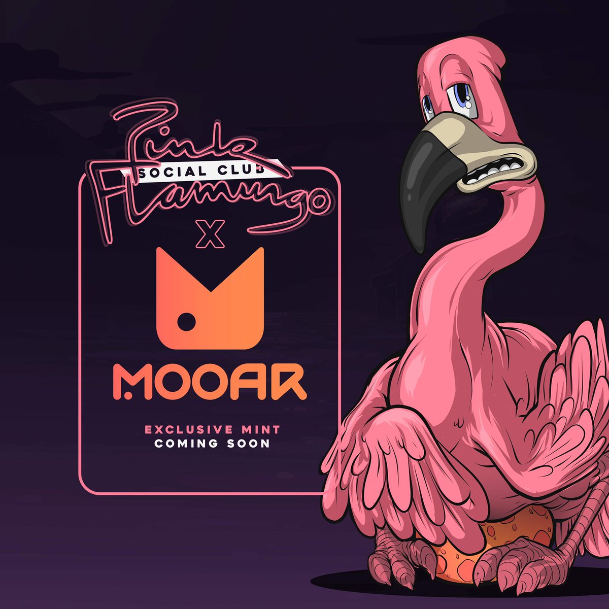 FTMFlamingo's tweet photo. 1) Partnership Announcement Mingos! 
We are participating in @mooarofficial 's upcoming launchpad season 2. We are super excited to expand our community into the new $ETH/ $SOL marketplace and continue our #MultiChain journey. https://t.co/hLKjIt7tPa