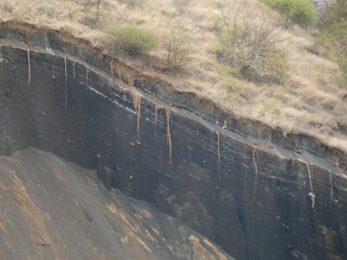 PhotosForTrees's tweet image. A look inside some of the western most #ChyuluHills  from #MombasaRoad 

#roadworks #quarries #grassroots #watersheds