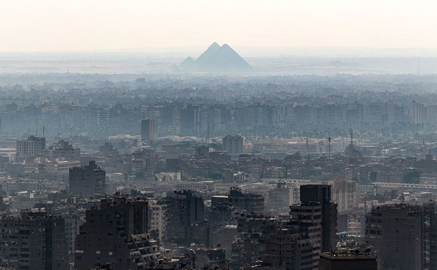 Mohamed El-Shahed tweet media