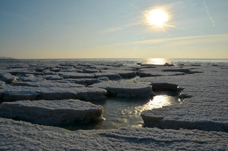 Royal Society Publishing (@rsocpublishing) on Twitter photo #BiologyLetters's top-cited article from 2021 investigates how photophobia may be protecting small sea creatures against the impacts of environmental changes in the Arctic. ow.ly/mcHE50MSTA0 | #Ecology <a href="/HobbsLJ/">Dr Laura Hobbs</a> @NeilBanas @OysteinVarpe @FinloCottier #BiologyLetters's top-cited article from 2021 investigates how photophobia may be protecting small sea creatures against the impacts of environmental changes in the Arctic. ow.ly/mcHE50MSTA0 | #Ecology <a href="/HobbsLJ/">Dr Laura Hobbs</a> @NeilBanas @OysteinVarpe @FinloCottier