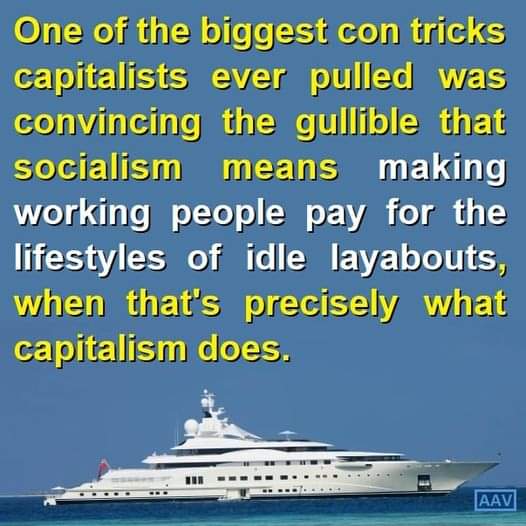 julie elwood💙🌹 tweet media