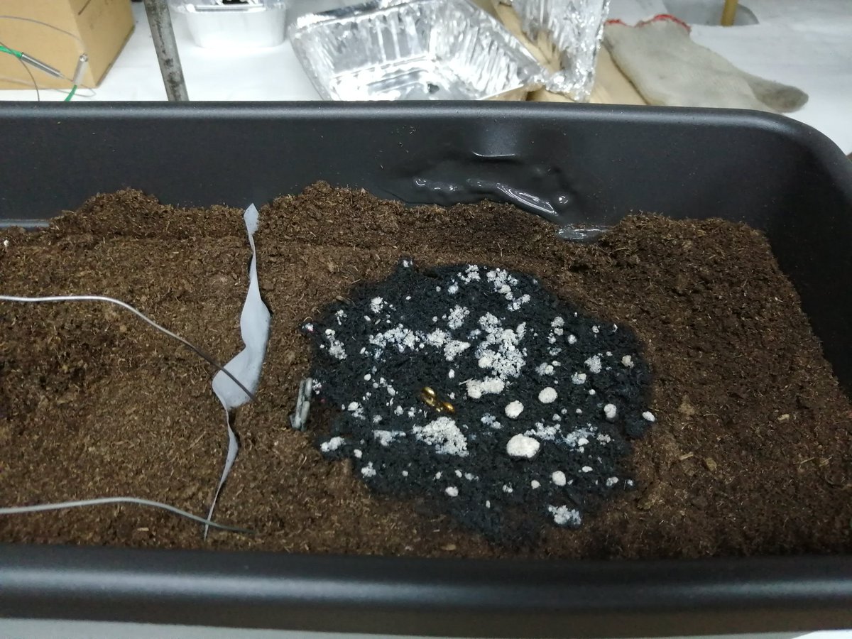 Last week we had the chance to test the power of a 300°C heat source on top of a pot... What happened with heat transference through soil surprised us: stay tuned for upcoming experiments! #Wildfires #MycorrhizalFungi Thanks  @Fuego_lab 🔥🍄