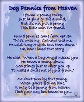 catgirl321's tweet photo. #PURRS for @PuppyNumber7 #Purrs4TomsNan💔 PURR PURR PURR PURR PURR PURR PURR PURR PURR PURR PURR PURR PURR PURR PURR PURR PURR PURR PURR PURR PURR PURR PURR PURR #weeti #ForeverLove #AngelTom
#OTRB February 15 2019🌈 https://t.co/d4L8NU9zis