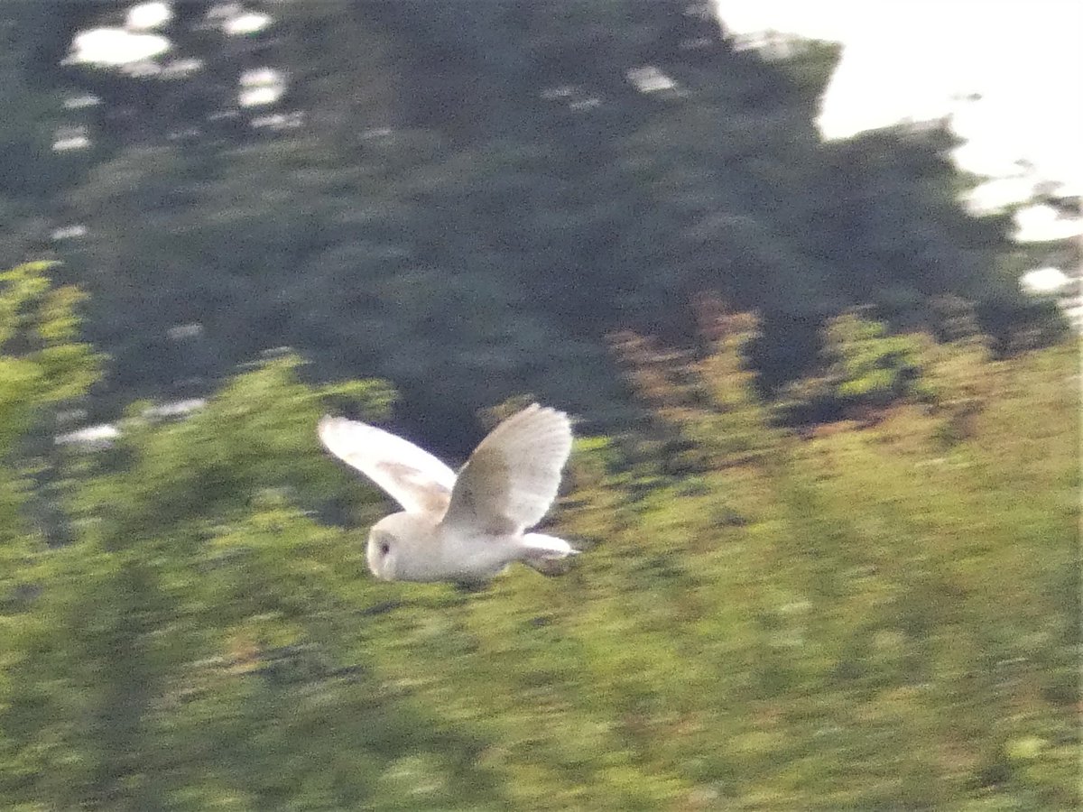 Quex Park tweet media