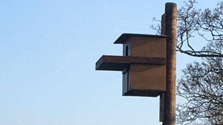 Quex Park tweet media