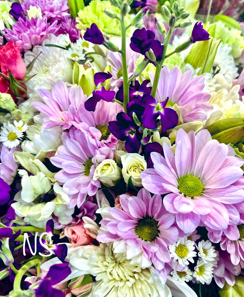 Good morning 🤍🕊️

#HappyWednesday 
#GoodVibesOnly