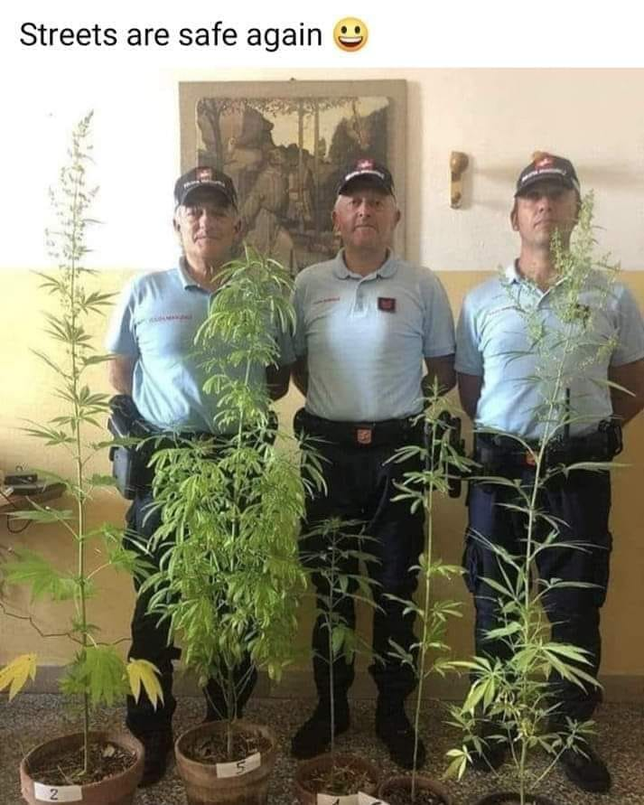 Without the police, who would protect us from plants, growing on their own?