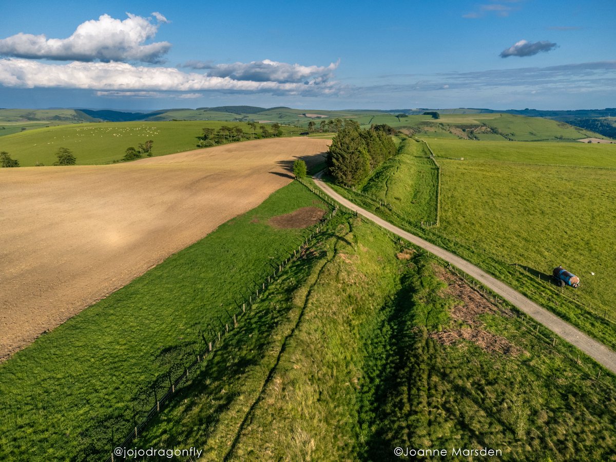 Joanne Marsden tweet media