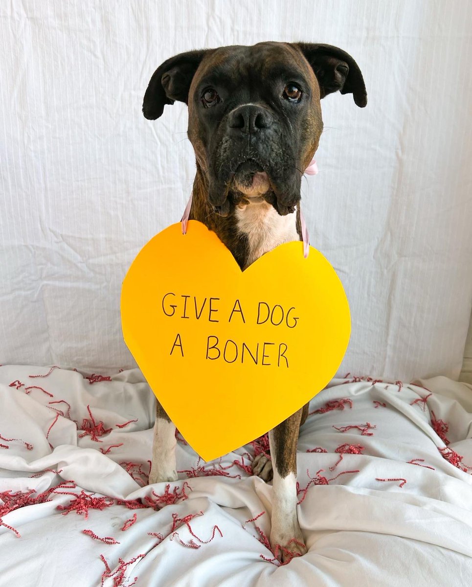 dogtownva's tweet photo. Conversation Hearts (R-Rated) https://t.co/cWFJKXDfUJ