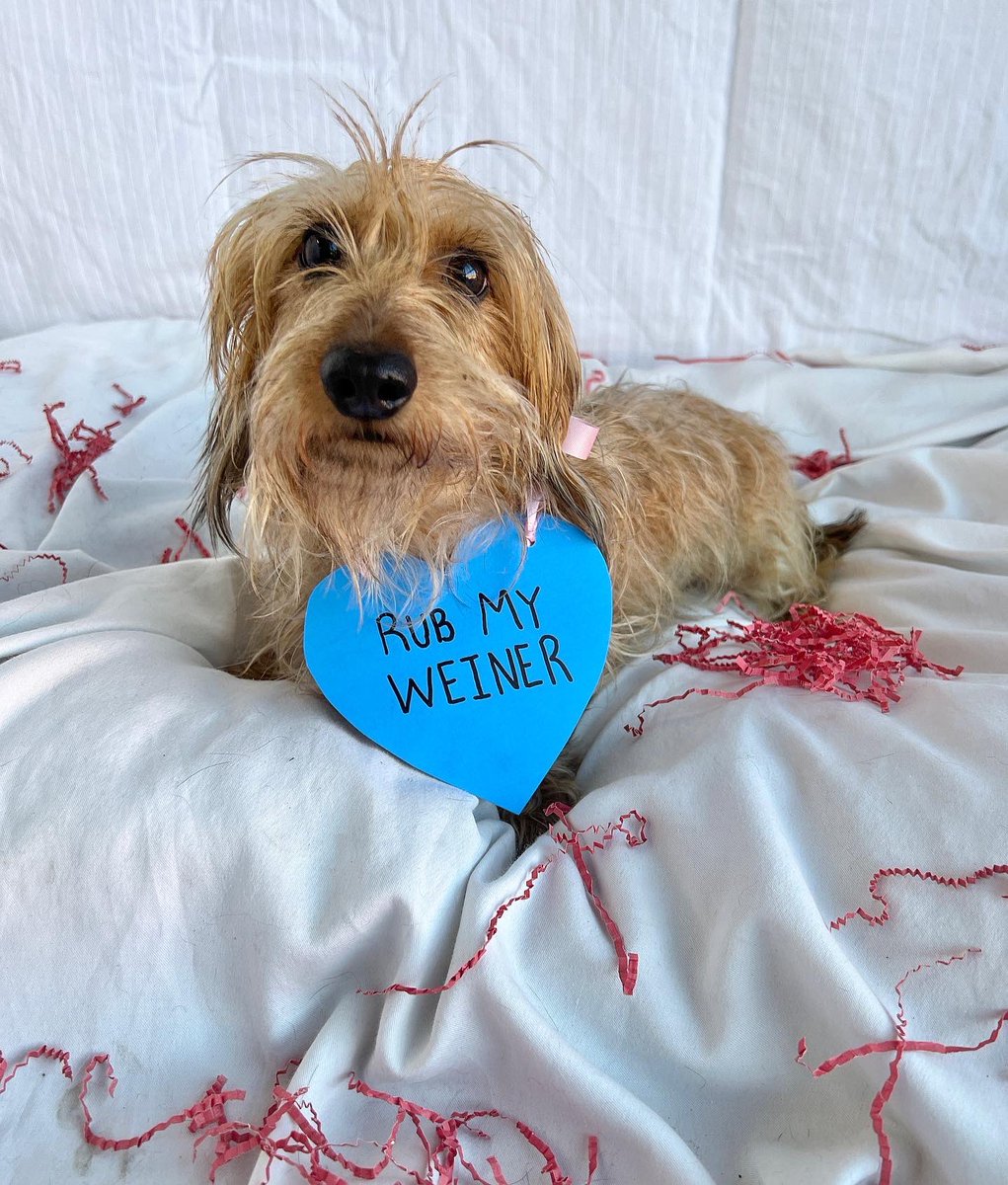 dogtownva's tweet photo. Conversation Hearts (R-Rated) https://t.co/cWFJKXDfUJ