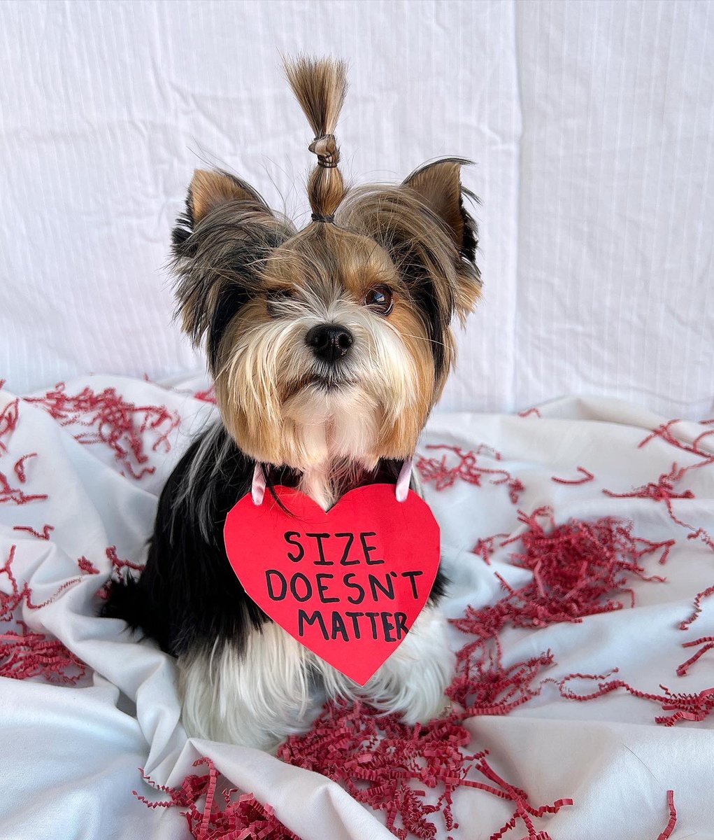dogtownva's tweet photo. Conversation Hearts (R-Rated) https://t.co/cWFJKXDfUJ