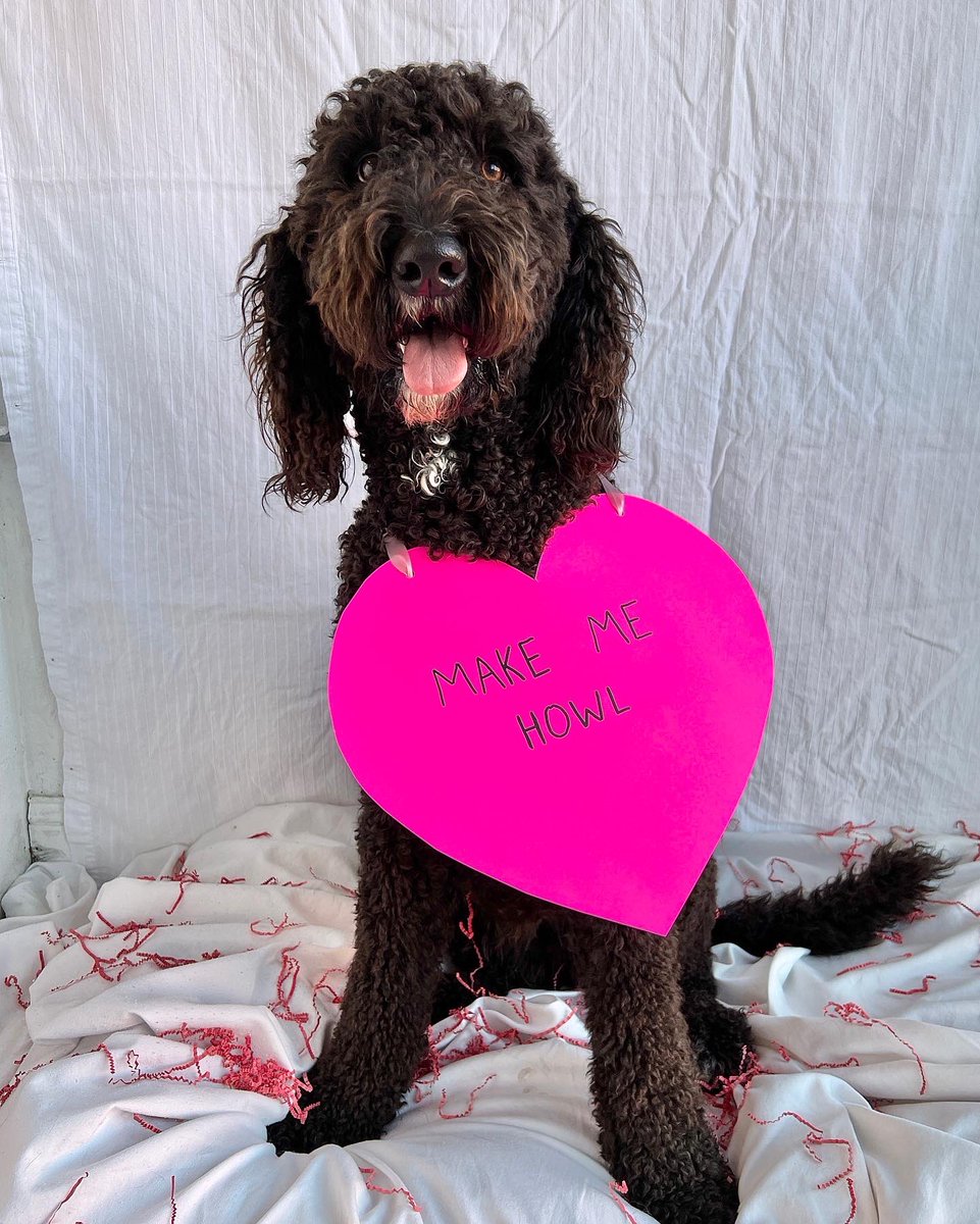 dogtownva's tweet photo. Conversation Hearts (R-Rated) https://t.co/xzSy9xRWzi