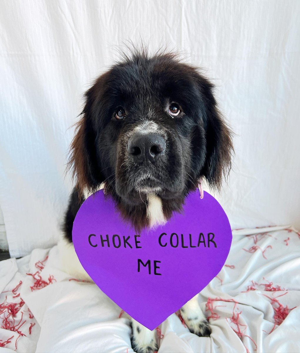 dogtownva's tweet photo. Conversation Hearts (R-Rated) https://t.co/xzSy9xRWzi