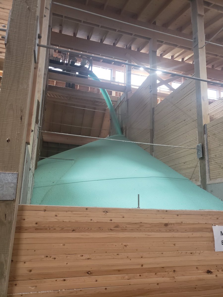 neil driscoll🇨🇦 tweet media