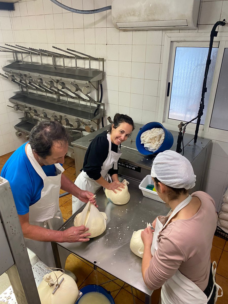 CoopAgroIB's tweet image. Continua l&apos;estada dels joves dins del programa #CULTIVA22. 

Avui han estat fent formatge de manera tradicional i artesanal en l&apos;explotació Algendar d&apos;Gomila

#ProgramaCultiva #formacion #joves
@coopsagroes @mapagob @redrunacional