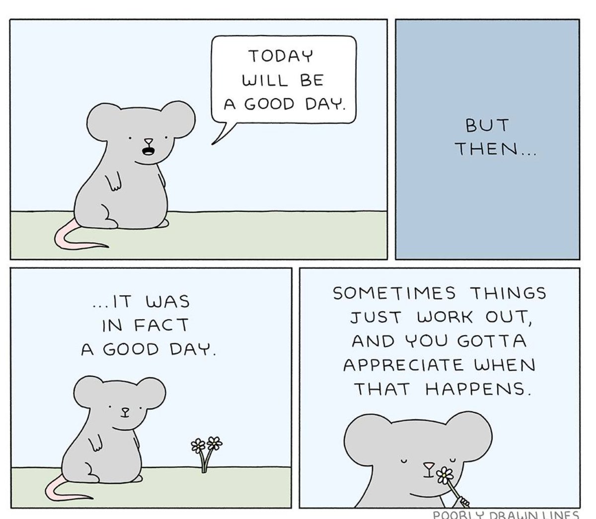 WholesomeMemes tweet media