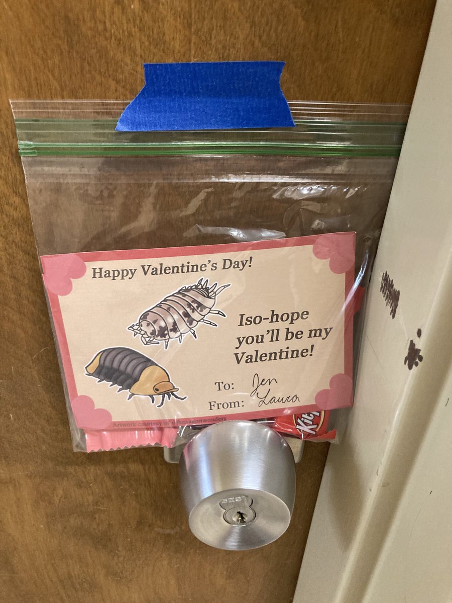 ZaspelLab tweet media