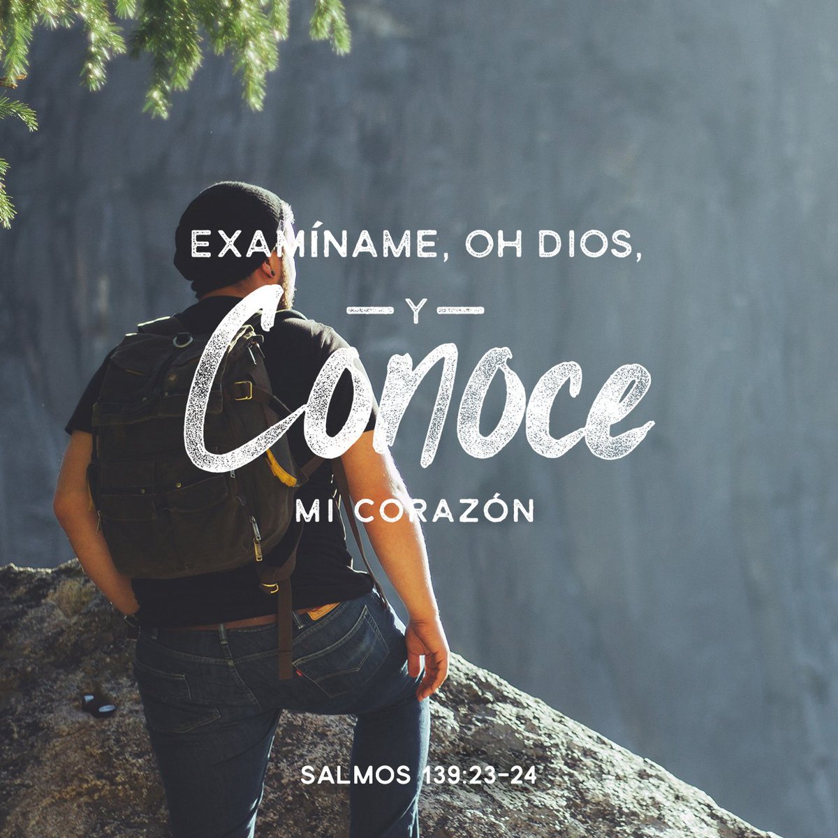 COCPanama's tweet photo. ...Pruébame y conoce mis pensamientos;
📖 Salmos 139:23 RVR1960 https://t.co/mP8DA6o3pg