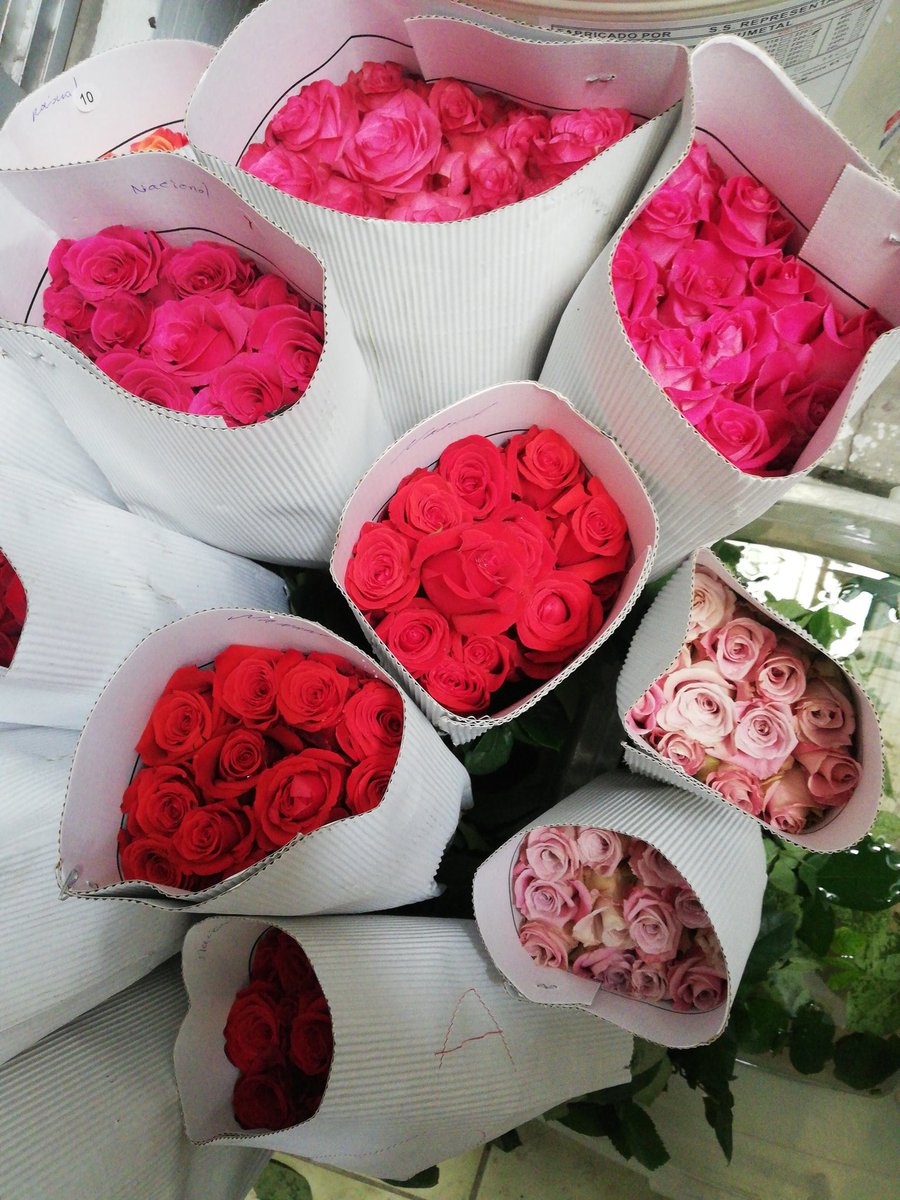 marielamona70's tweet photo. ChiquEs ayúdenme con un like y RT. Hoy me llegaron rosas, colores varios. 24 rosas por $7. Para las zonas de ceibos, urdesa y Samborondón. Se agradece su difusión. Más información por wapp 0999132621. (Foto referencial) https://t.co/OzD9Htd5ks