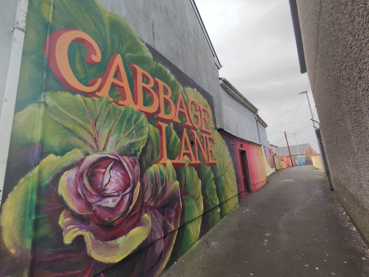 GalwayCityCo's tweet photo. Galway City Council recently commissioned artist Sufek West to create murals on Cabbage Lane, Bohermore as part of the Greening the Laneways project throughout the City. https://t.co/z19pR6j33C