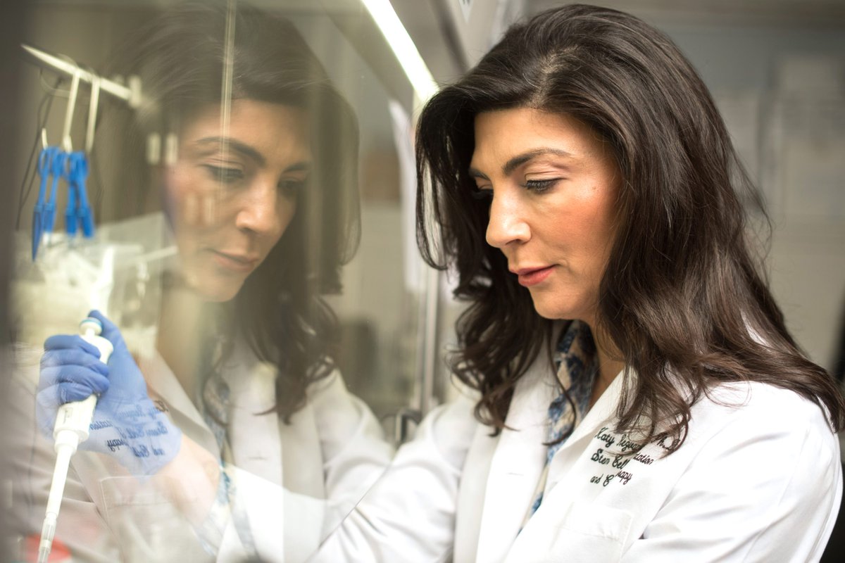 GENbio's tweet photo. .@MDAndersonNews and @replaybio Form #Syena to Develop Novel TCR NK Cell Therapy
Syena will receive licenses to various Replay cell and genome engineering platform technologies. Learn more: https://t.co/Y03dEdHksx https://t.co/5Y5ZFHoLwu