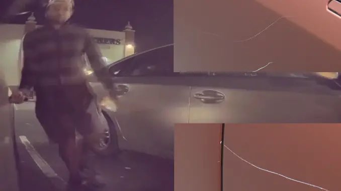 TheTeslaLife tweet media